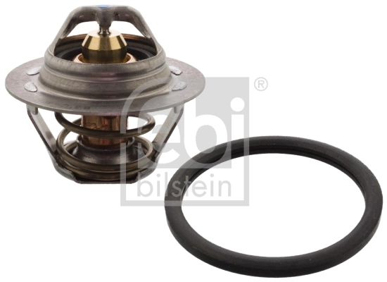 Thermostat, coolant
